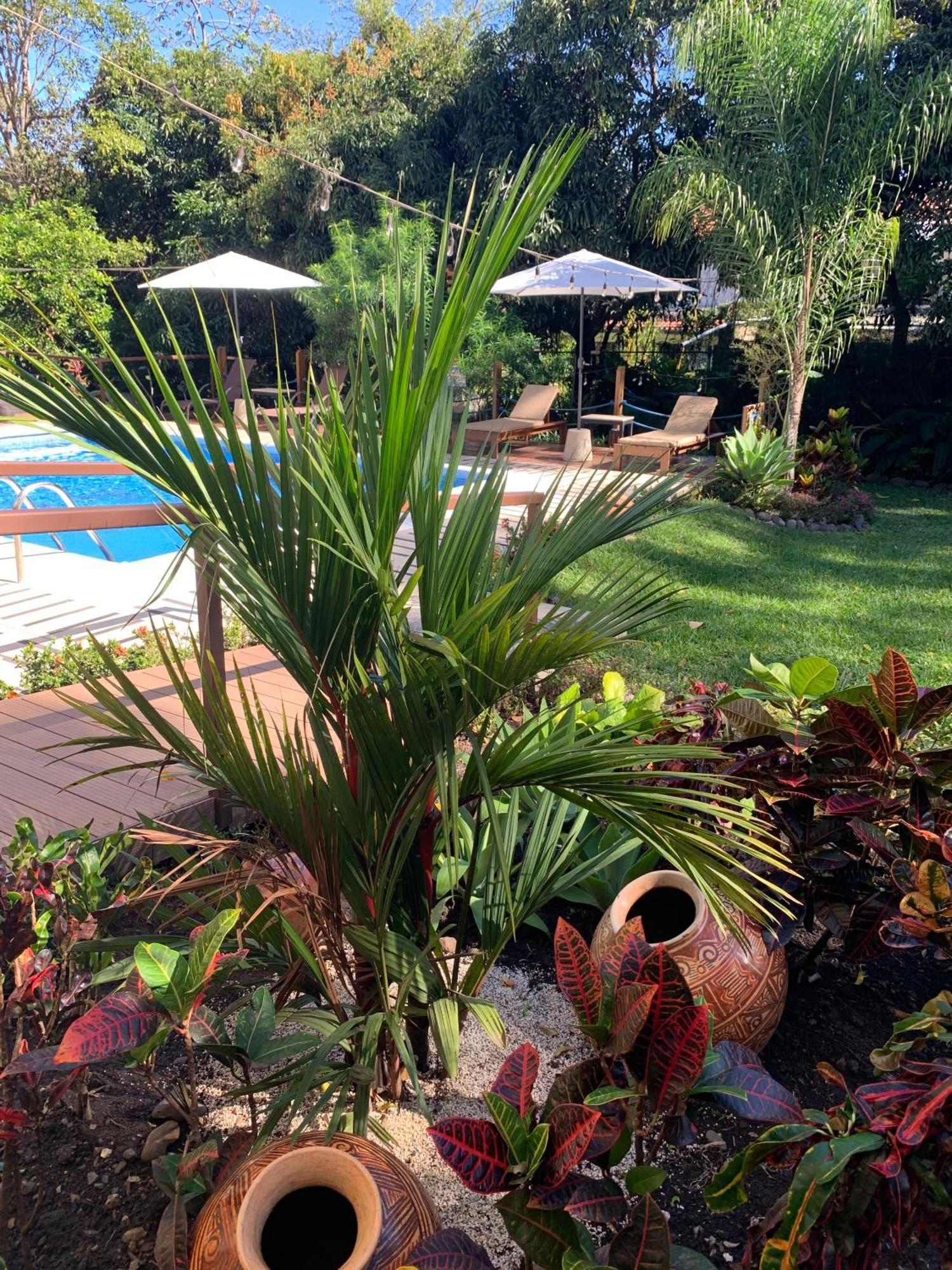 Aranjuez Lofts Santa Ana Apartment ซานตาอานา ภายนอก รูปภาพ